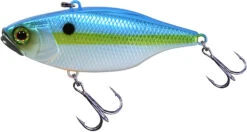 Jackall TN 50/60/70 Lipless Crankbait -Fishing Equipment Store FishJackall TN SS SHAD primary