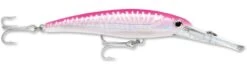 Rapala X-Rap Magnum 40 Big Game Slash Bait 31 Rapala X-Rap Magnum 40 Big Game Slash Bait -Fishing Equipment Store Hot Pink UV b24b35dc 2fca 4a2a b250 4347bf61c445