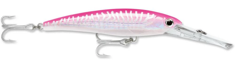 Rapala X-Rap Magnum 40 Big Game Slash Bait 12 Rapala X-Rap Magnum 40 Big Game Slash Bait - Image 10