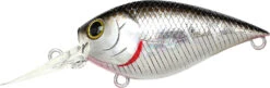Lucky Craft LC 0.7 DR Deep Running Crankbait -Fishing Equipment Store LC 0 7DR 419BPGSN