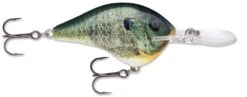 Rapala DT Series Crankbait DT16 -Fishing Equipment Store Live Bluegill 33de4d69 a516 4749 afce 604f7481303d