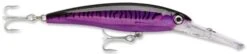 Rapala X-Rap Magnum 15 Big Game Slash Bait -Fishing Equipment Store Purple Mackerel d00f71db 7f8d 4089 b329 a26b6673365f