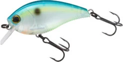 Yo-Zuri 3DB Crank 1.5 Shallow Squarebill Crankbait -Fishing Equipment Store R1352 CSH