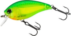 Yo-Zuri 3DB Crank 1.5 Shallow Squarebill Crankbait -Fishing Equipment Store R1352 GCL