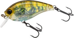 Yo-Zuri 3DB Crank 1.5 Shallow Squarebill Crankbait -Fishing Equipment Store R1352 RGCF 3b22e7e7 3013 47a9 ab9b 704f1315e13a