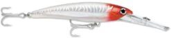 Rapala X-Rap Magnum 15 Big Game Slash Bait -Fishing Equipment Store Red Head UV 6509ec07 0002 489c ac9d e909309929c3