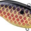 SPRO Aruku Shad 75 Lipless Crankbait -Fishing Equipment Store SAS75GDG GoldenDragon
