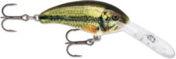 Rapala Shad Dancer SDD05 Medium Diving Crankbait 30 Rapala Shad Dancer SDD05 Medium Diving Crankbait -Fishing Equipment Store SDD LBL