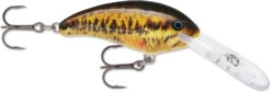 Rapala Shad Dancer SDD05 Medium Diving Crankbait 33 Rapala Shad Dancer SDD05 Medium Diving Crankbait -Fishing Equipment Store SDD SBL