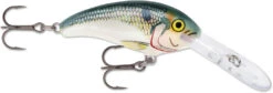 Rapala Shad Dancer SDD05 Medium Diving Crankbait 41 Rapala Shad Dancer SDD05 Medium Diving Crankbait -Fishing Equipment Store SDD SD