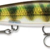 Rapala Shadow Rap 11 Jerkbait -Fishing Equipment Store SDR PEL