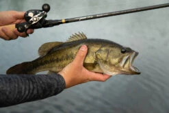 Temple Fork Outfitters Tactical Bass Glass Casting Rods -Fishing Equipment Store Tactical Bass Bottom Banner Lifestlye 1 f6a75b7c 7ed5 4159 863b 849c406dbdfc