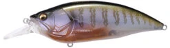 Megabass Big-M 4.0 Magnum Deep Diving Crankbait -Fishing Equipment Store big m40 secret gill 690f3e67 428c 468d 8400 a2d2a0ef7018