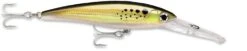 Rapala X-Rap Magnum 40 Big Game Slash Bait 25 Rapala X-Rap Magnum 40 Big Game Slash Bait -Fishing Equipment Store bunker 628d1cb7 16e9 4812 9d82 e4fb9334c5e2