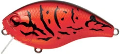Evergreen International CH-1 Waking Crankbait -Fishing Equipment Store evergreen CH 1 064 firecraw