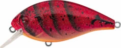 Evergreen International SH-3 Shallow Squarebill Crankbait 27 Evergreen International SH-3 Shallow Squarebill Crankbait -Fishing Equipment Store evergreen SH 3 223 speed craw