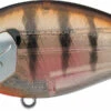 Evergreen International SH-3 Shallow Squarebill Crankbait -Fishing Equipment Store evergreen SH 3 246 ghost baby gill