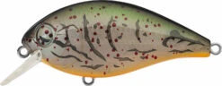 Evergreen International SH-3 Shallow Squarebill Crankbait 17 Evergreen International SH-3 Shallow Squarebill Crankbait -Fishing Equipment Store evergreen SH 3 363 albino craw