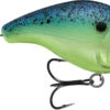 13 Fishing Scamp 1.5/2.5 Squarebill Crankbait -Fishing Equipment Store flipChicken of the Sea