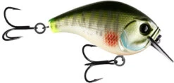 13 Fishing Scamp 1.5/2.5 Squarebill Crankbait -Fishing Equipment Store flipDream Gill