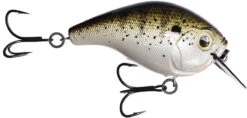 13 Fishing Scamp 1.5/2.5 Squarebill Crankbait -Fishing Equipment Store flipLouisiana Frog Cakes