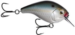 13 Fishing Scamp 1.5/2.5 Squarebill Crankbait -Fishing Equipment Store flipNatty night