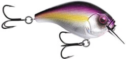 13 Fishing Scamp 1.5/2.5 Squarebill Crankbait -Fishing Equipment Store flipPurple Nurple