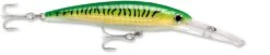 Rapala X-Rap Magnum 40 Big Game Slash Bait 29 Rapala X-Rap Magnum 40 Big Game Slash Bait -Fishing Equipment Store gold green mackerel c36aafcc 55b7 4b87 b976 933cb1f68086