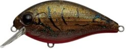 Evergreen International SH-3 Shallow Squarebill Crankbait 25 Evergreen International SH-3 Shallow Squarebill Crankbait -Fishing Equipment Store olive 2Bcrawdad 23363e0d 36be 4924 8f26 7398934df3e2