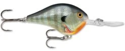 Rapala DT Series Crankbait DT16 -Fishing Equipment Store rapala dt10 bluegill f174ddf6 bff7 40b2 a370 19e4ee6a3db7
