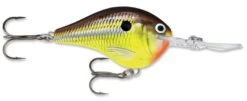 Rapala DT Series Crankbait DT16 -Fishing Equipment Store rapala dt10 hot mustard 847d0a2c 2be5 48b6 ab17 11f103d1180d