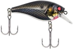 Berkley SquareBull 2 3/8 Inch Shallow Squarebill Crankbait -Fishing Equipment Store squarebull black silver a43ada4f f3fc 4f83 abd8 116ee7b133b0