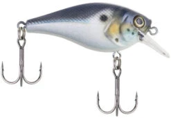 Berkley SquareBull 2 3/8 Inch Shallow Squarebill Crankbait -Fishing Equipment Store squarebull blue black 785f5c02 8d74 4391 8cff efb332981a52