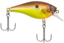 Berkley SquareBull 2 3/8 Inch Shallow Squarebill Crankbait -Fishing Equipment Store squarebull brown mustard 81da5849 8ea2 4f4e b46f 0980ead1b2b1