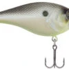 Berkley SquareBull 2 3/8 Inch Shallow Squarebill Crankbait -Fishing Equipment Store squarebull chameleon pearl edde6e06 c7d7 4ce1 91dd 058d9e3eaac2