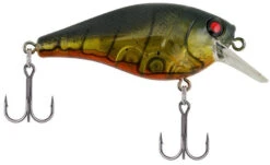 Berkley SquareBull 2 3/8 Inch Shallow Squarebill Crankbait -Fishing Equipment Store squarebull ghost green craw 7a49b040 87a0 4d26 8f46 2e82eb5320a7