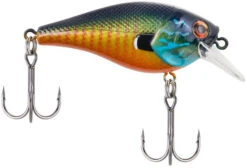 Berkley SquareBull 2 3/8 Inch Shallow Squarebill Crankbait -Fishing Equipment Store squarebull gilly 9823b24f 821b 42a2 bbbb 0c93e43286eb