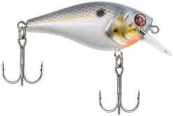 Berkley SquareBull 2 3/8 Inch Shallow Squarebill Crankbait -Fishing Equipment Store squarebull sexier shad 1d609b07 b72e 43cb ae5f 8f3b1f1c079e