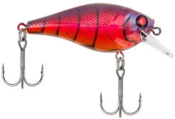 Berkley SquareBull 2 3/8 Inch Shallow Squarebill Crankbait -Fishing Equipment Store squarebull special red craw a3eeef37 c990 4d30 a2a4 9203d3981ecd