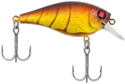 Berkley SquareBull 2 3/8 Inch Shallow Squarebill Crankbait -Fishing Equipment Store squarebull spring craw 7920c685 ad66 4e2d 9a4b dfc15a821819