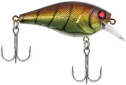Berkley SquareBull 2 3/8 Inch Shallow Squarebill Crankbait -Fishing Equipment Store squarebull vintage craw 80989045 ac81 41fe b62e aacb608a8003