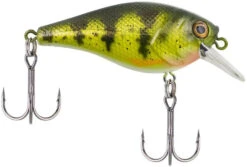 Berkley SquareBull 2 3/8 Inch Shallow Squarebill Crankbait -Fishing Equipment Store squarebull yellow perch 08cc63df 2824 4d70 8487 3e7beebcaa15