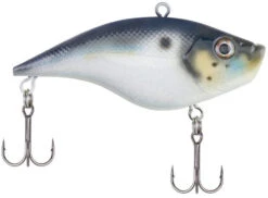 Berkley Warpig Lipless Crankbait -Fishing Equipment Store warpig blue back